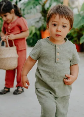 T-shirt bébé et enfant OLIVE